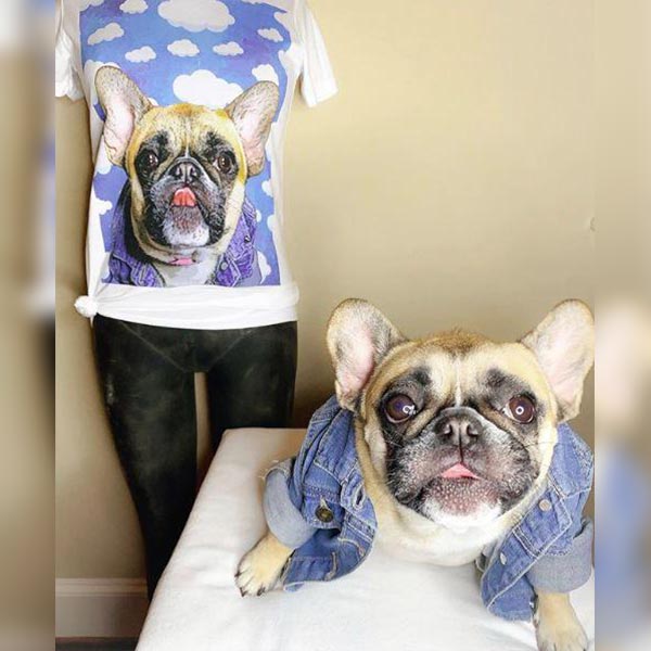 Original Pet Pop Art Women's Crew