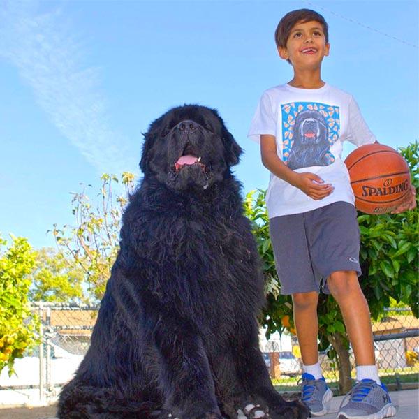 Custom Pet Art Youth Crew